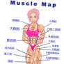 Muscle map