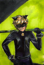 Cat Noir From Miraculous Ladybug