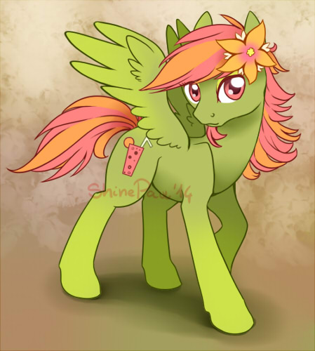 Pony Adoptable - Tropical SOLD