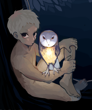 owl guy