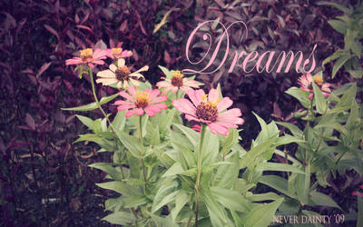 Dreams Wallpaper