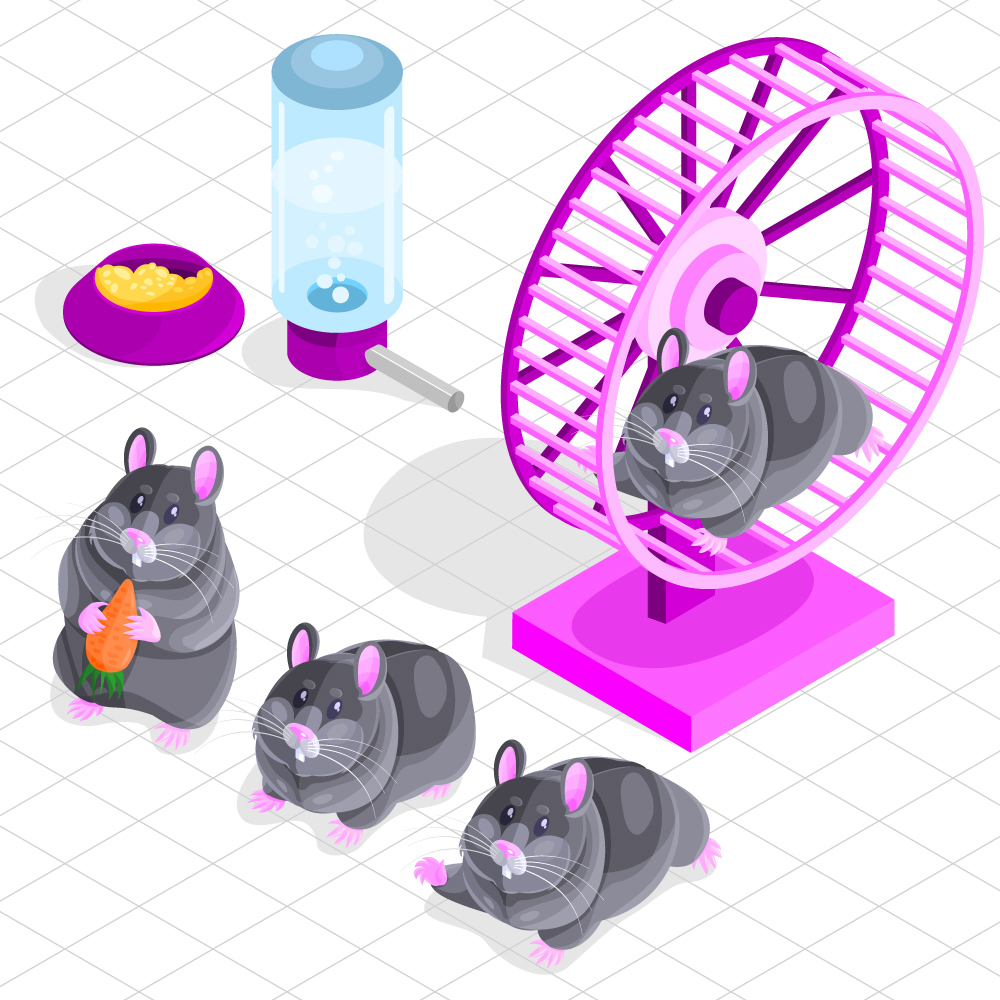 Geometry Hamster Vector isometric cute hamster character set - 3 by Siriliya on DeviantArt