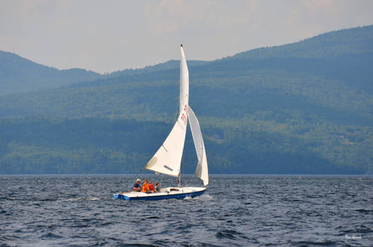 Newfound Sailboat