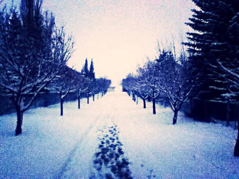 La Petite Sentier de la Neige Blanche