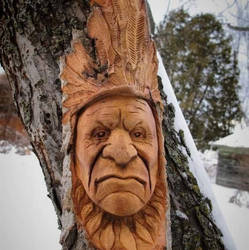 Native Wood Spirit in Cottonwood bark