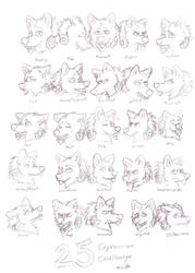 25 Expressions of Star