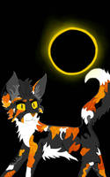 Sol warrior cats 