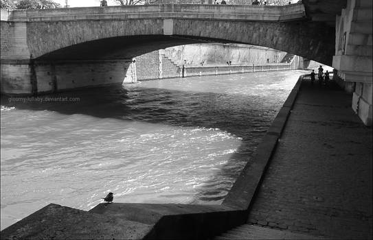 Les Quais de Seine.