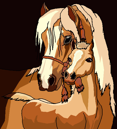 Horses