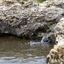Waterfall 6