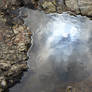 Water Reflection
