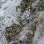 Water Bubbles Texture