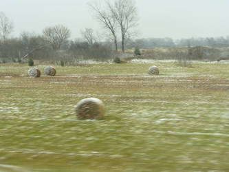 Frosted Hay Bales