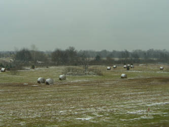 Frosted Hay Bales 2
