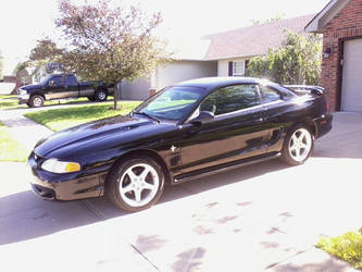 My 98 Stang