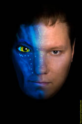 Avatar and Me