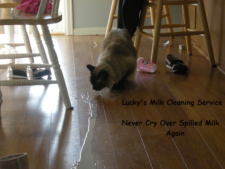 Lucky's Milk Cleaning Service