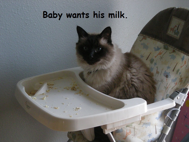 Lucky wants milk