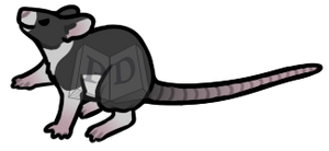 Rat [#102 Curse] by LogosLibrary