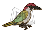 Leaf-Winged Green Woodpecker [#225 European Birch] by LogosLibrary