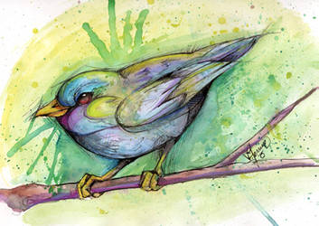 Watercolor Bird