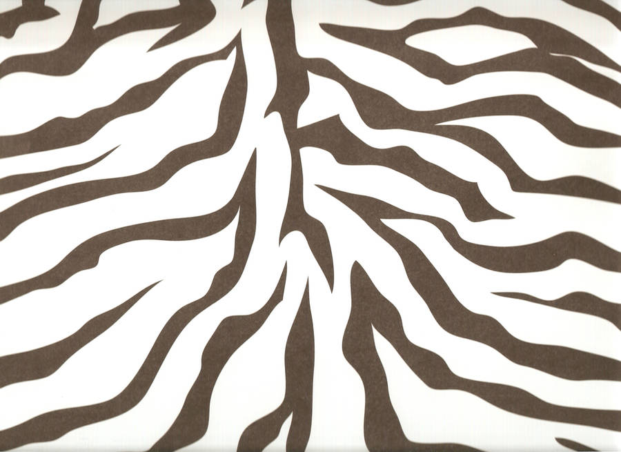 Zebra Print by Vesperity-Stock