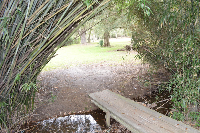 Bamboo Arch Light