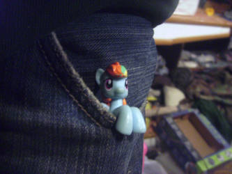 Rainbow Dash pocket pony