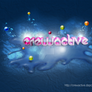 Crewactive.daportfolio.com