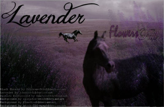 Lavender