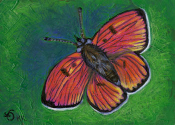 Butterfly by pinupsbykeeegan