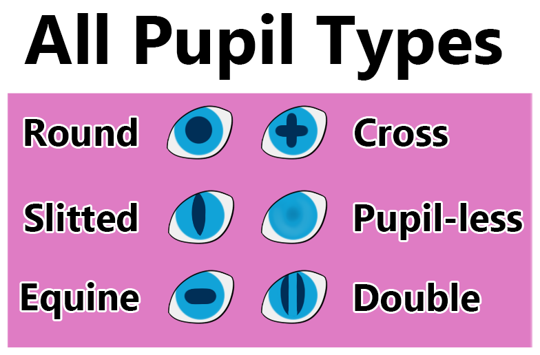Pupil Types All Types Eyes and Mouth by FromTheThree on DeviantArt