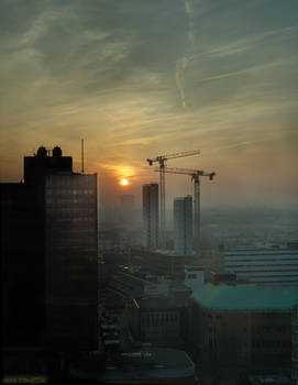 Cranes In Sunset