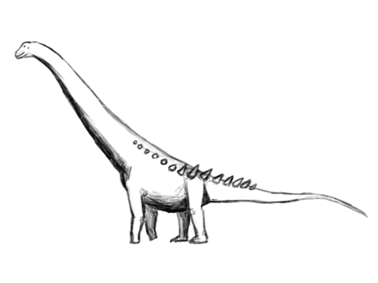 Puertasaurus reuili rough sketch