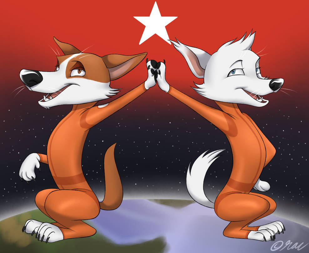 Dogs In Space Book Space Dogs - Belka and Strelka by supivuokko on DeviantArt
