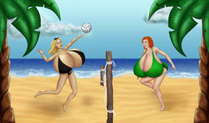 Beach Volleyball - Fullview please