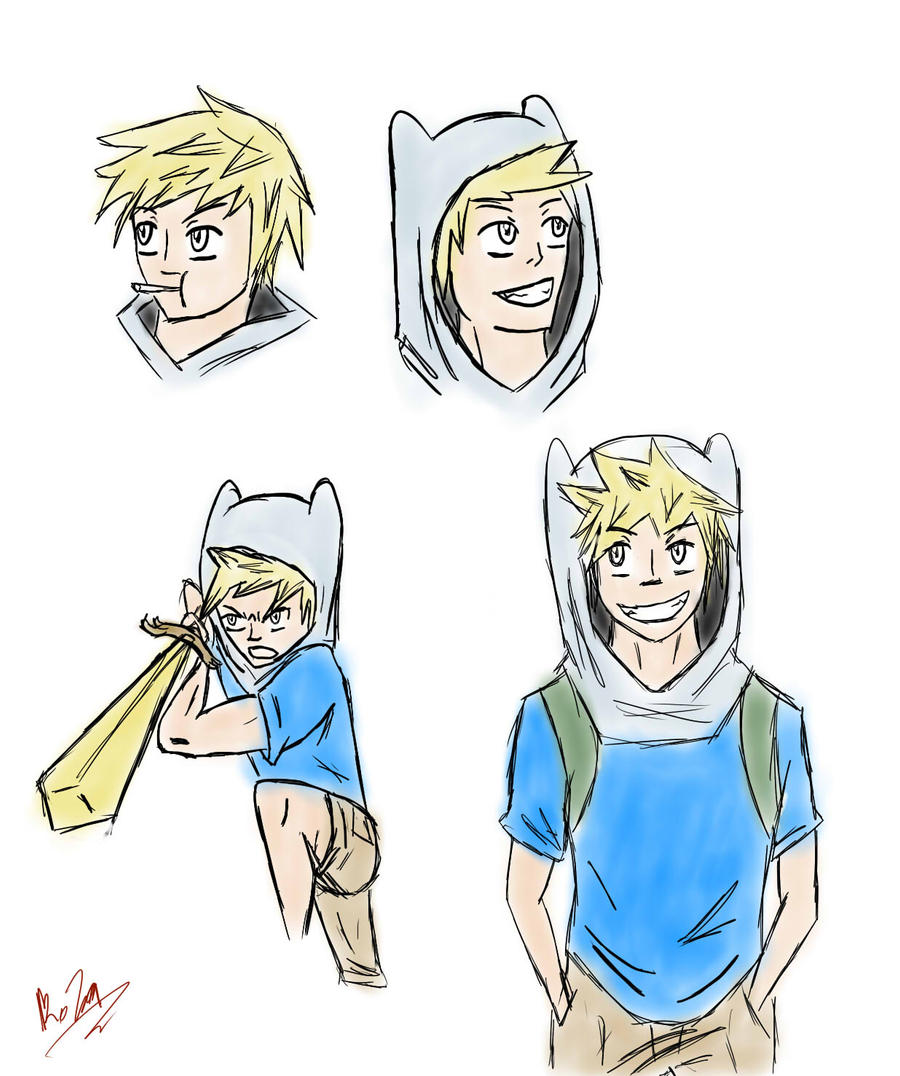 Finn The human