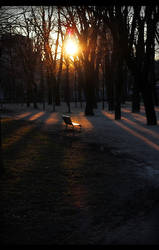 God's bench