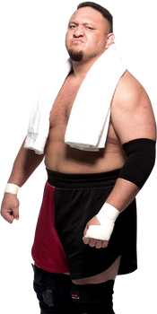 WWE Samoa Joe PNG