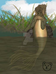 Catfish Mermaid