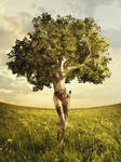 Nature Alive by Valexina
