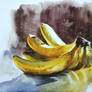 Banany/Bananas 30x40cm