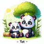 Tash and tot pandas