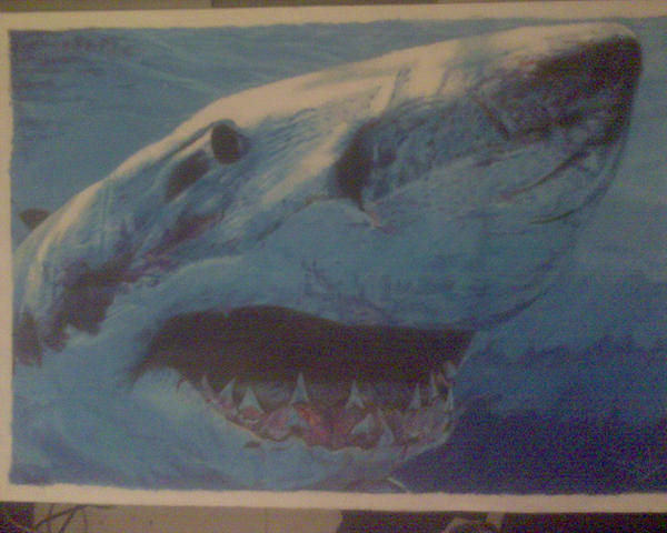 SharkFace by DaniLeinad on DeviantArt