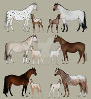 Horse Adopts - Mare/Foal set