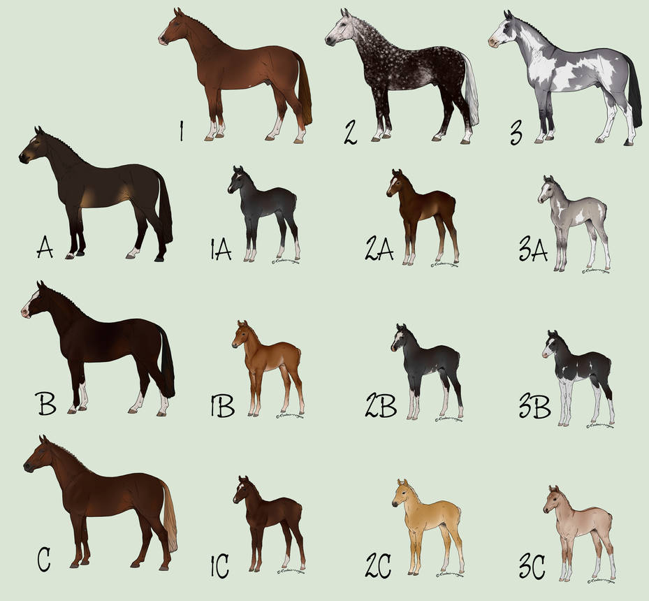 4 Foals Still available - DTA by decors 4 Foals Still available - DTA by decors