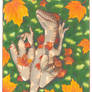 Raptor - fall leaves