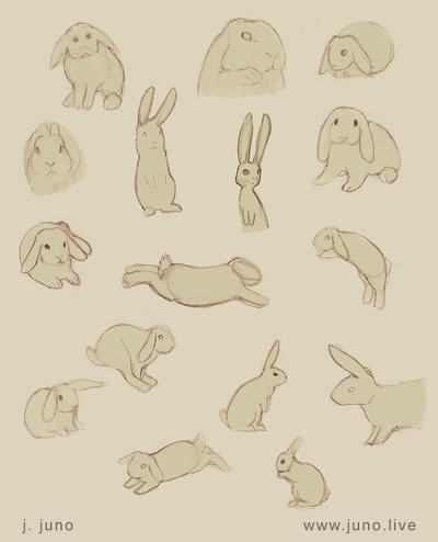 Bunnies Sketches 2