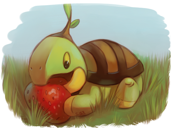 turtwig