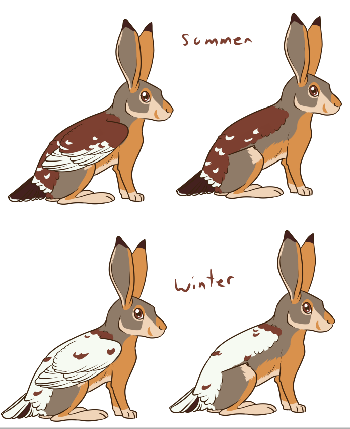 Skvader Svg Skvader by Etomo on DeviantArt
